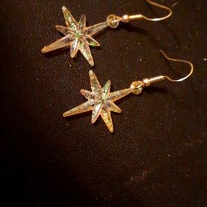 Earrings #285